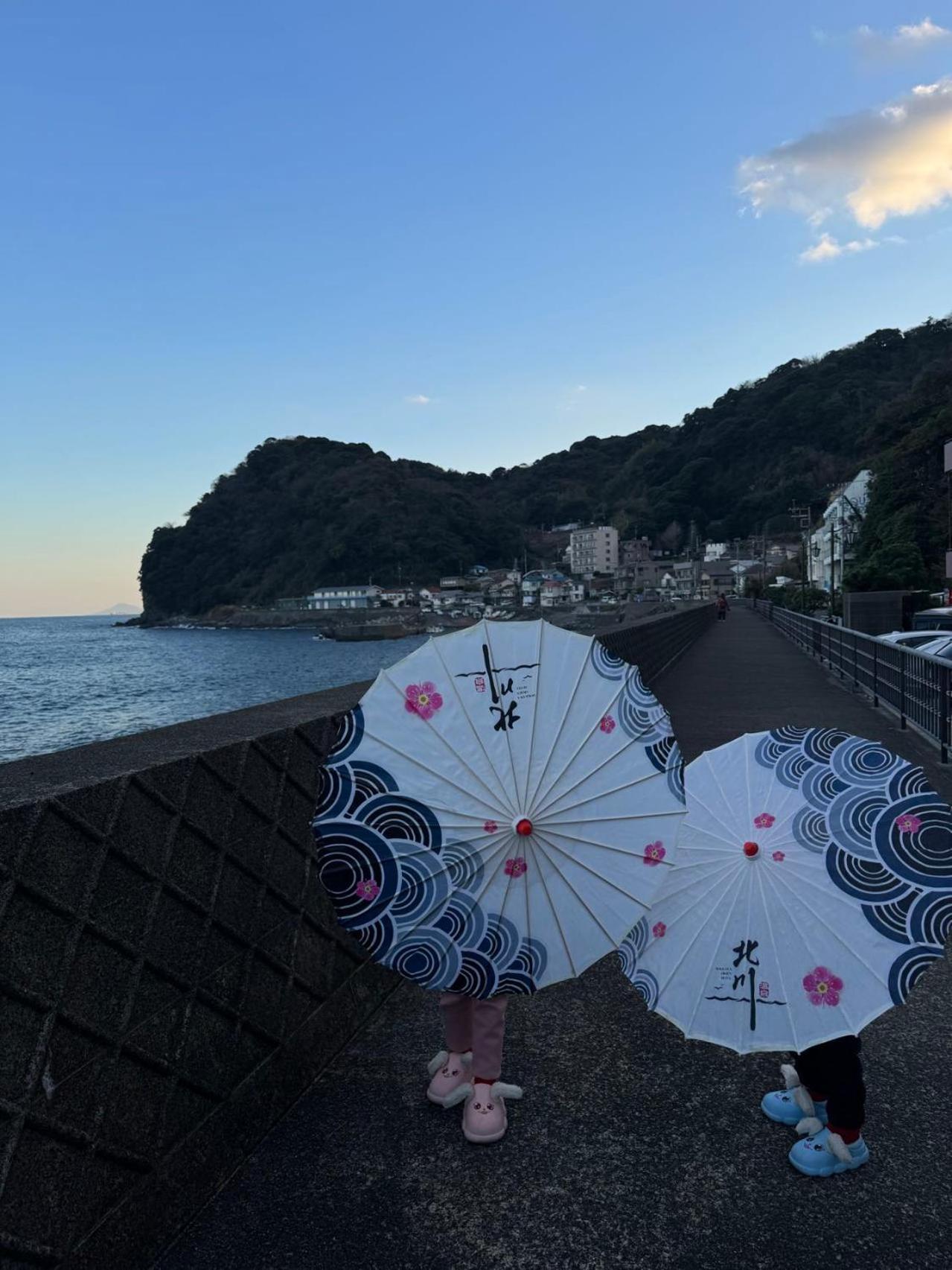 Hokkawa Onsen Hotel Higashiizu Eksteriør billede